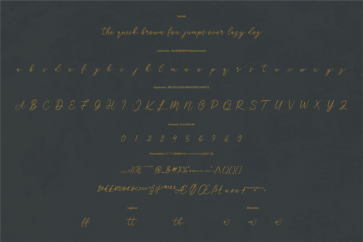 Amitiam - Modern Calligraphy, a Script Font by VUNIRA (Photo 5 of 6)