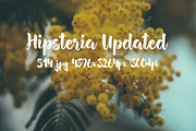 Hipsteria photo pack, a Templates & Theme by ApertureVintage (Thumbnail 24 of 48)