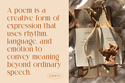 Chose Elegant Ligature Serif Font, a Serif Font by Perfectype (Thumbnail 3 of 8)