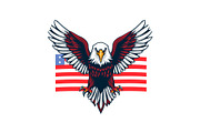 USA Eagle Heart Icons Bundle, an Object Graphic by yasushie (Thumbnail 8 of 12)
