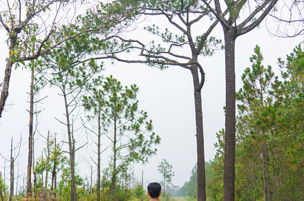 traveler man hiking enjoying in the mountains with backpack at P, a Nature Photo by Casanowe-studio
