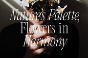 Clamofte Modern Stylish Serif, a Serif Font by Letterena Studios (Thumbnail 3 of 15)