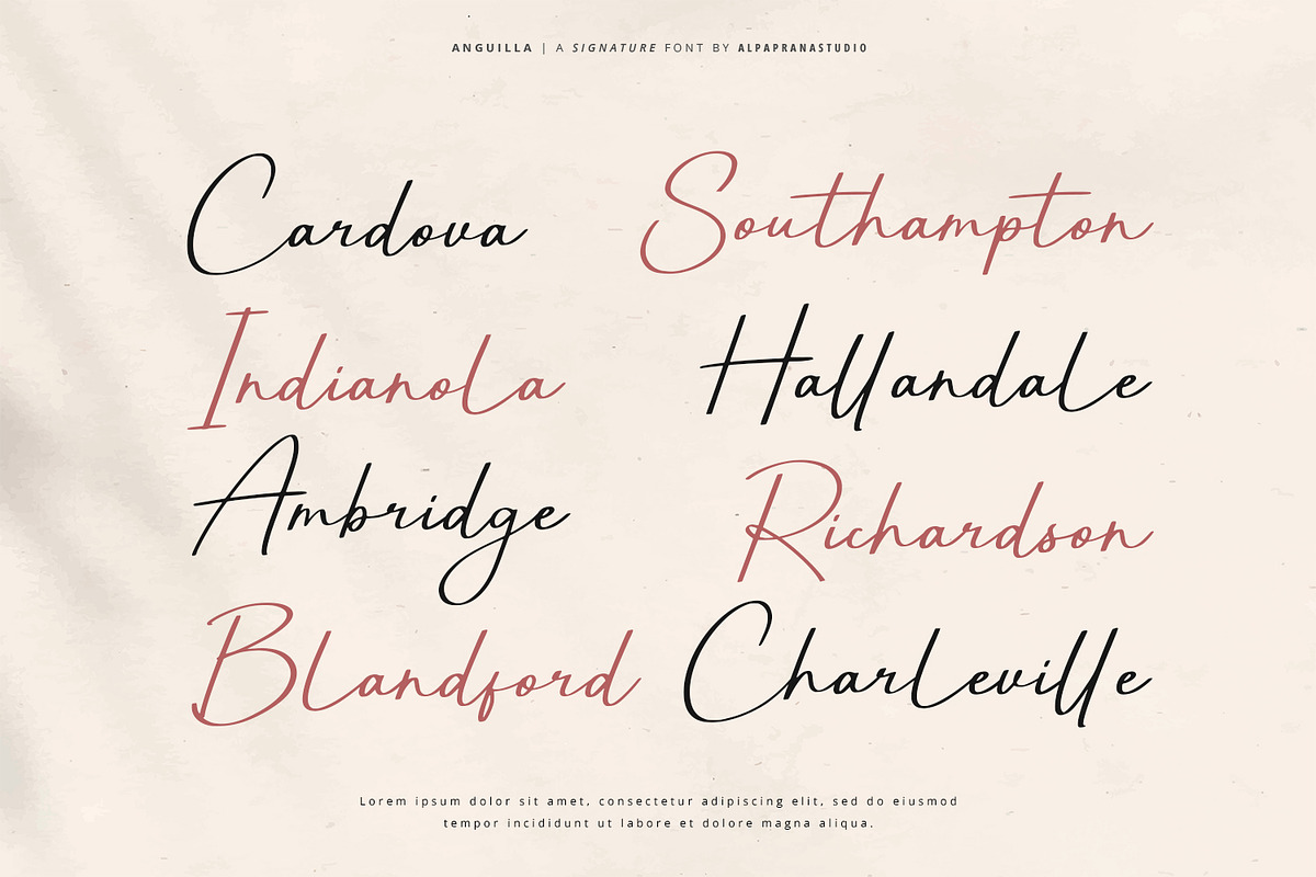 Anguilla - Signature Font, a Script Font by Alpaprana (Photo 4 of 13)