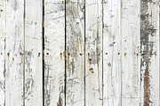 Rustic Wooden Digital Paper Bundle, a Background Photo by VetalStock (Thumbnail 6 of 9)