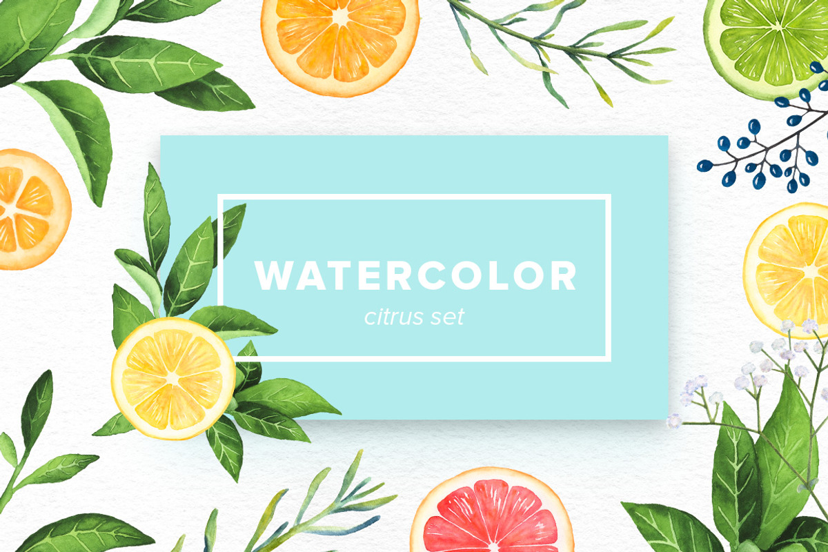 Watercolor Citrus Set, an Object Graphic by Kotulska (Photo 1 of 4)