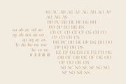 Aelyn - Ligature Serif Font, a Serif Font by Surplus Type Co (Thumbnail 6 of 12)