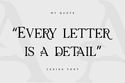 Cerina - Fashion Handdrawn Font, a Serif Font by Pandeka Studio (Thumbnail 8 of 9)