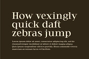 Daeron - Display Serif, a Serif Font by Uncarving (Thumbnail 2 of 10)