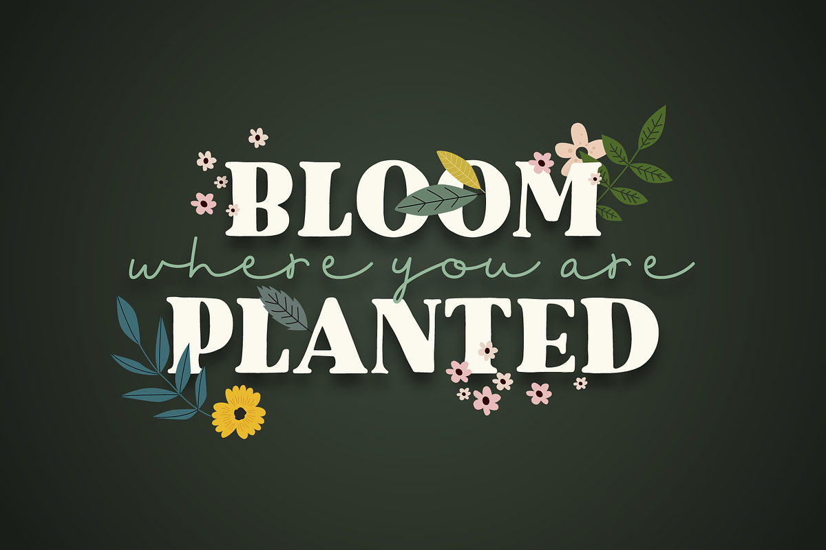 Garden Walk Font Duo, a Serif Font by Denise Chandler (Photo 4 of 7)