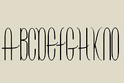 Contouration, a Serif Font by Intellecta Design (Thumbnail 3 of 5)