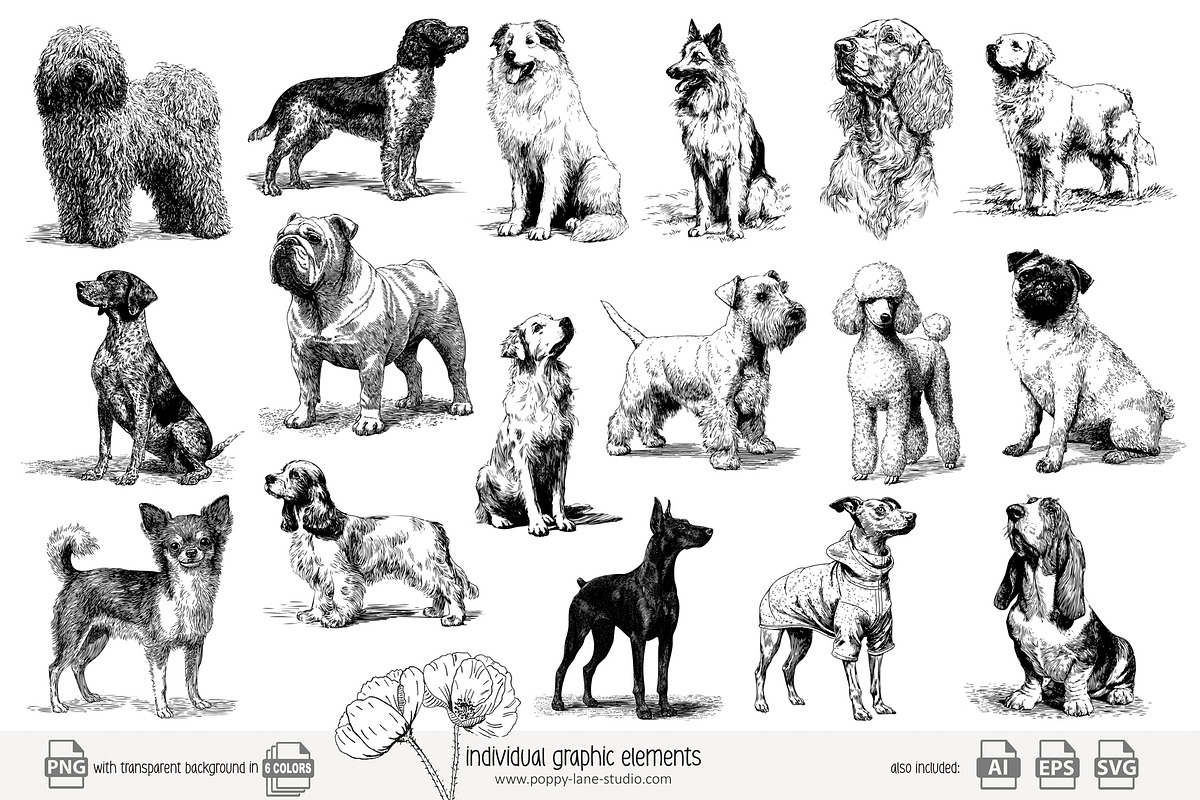 95 line art Dogs clip art, an Animal Illustration by Poppy Lane Studio (Photo 5 of 11)