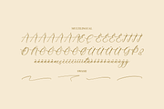 Rumaysa Chambert Luxury Script, a Serif Font by Storytype Studio (Thumbnail 14 of 16)