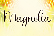 Wedding Aurelia, a Handwritten Font by FreshTypeINK (Thumbnail 3 of 8)
