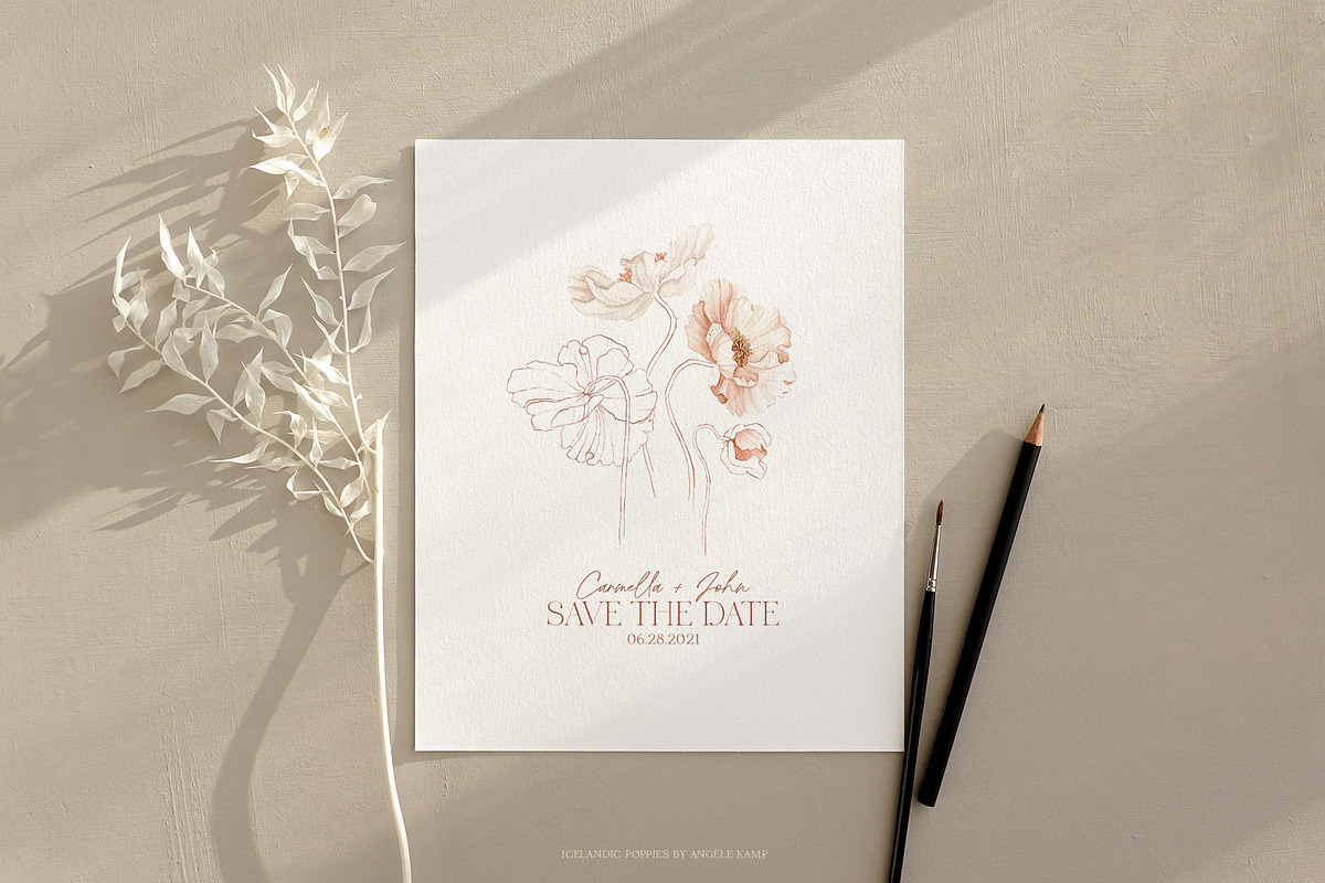 Icelandic Poppies watercolor flowers, an Illustration by Angele Kamp (Photo 5 of 9)