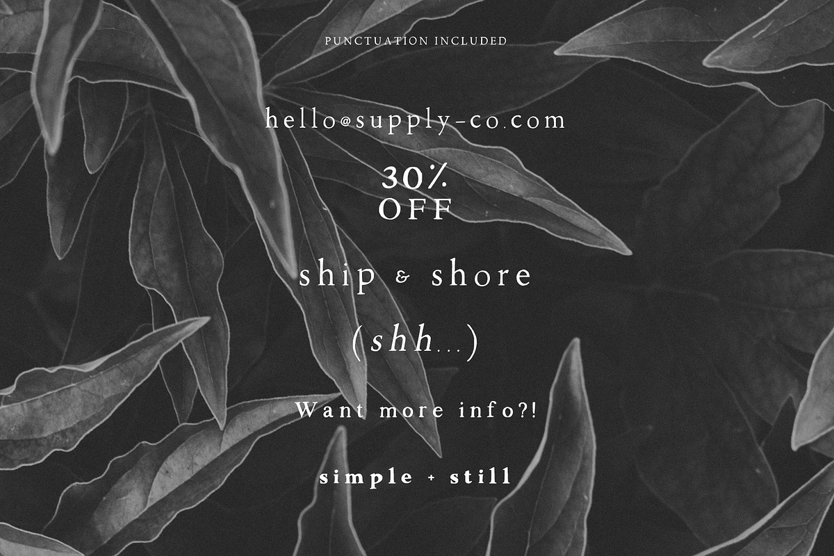 Walker: a Handlettered Serif, a Serif Font by Margot + Co (Photo 11 of 11)