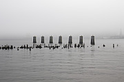 Foggy Photo Bundle, a Nature Photo by Full Circle Design Studio (Thumbnail 3 of 8)