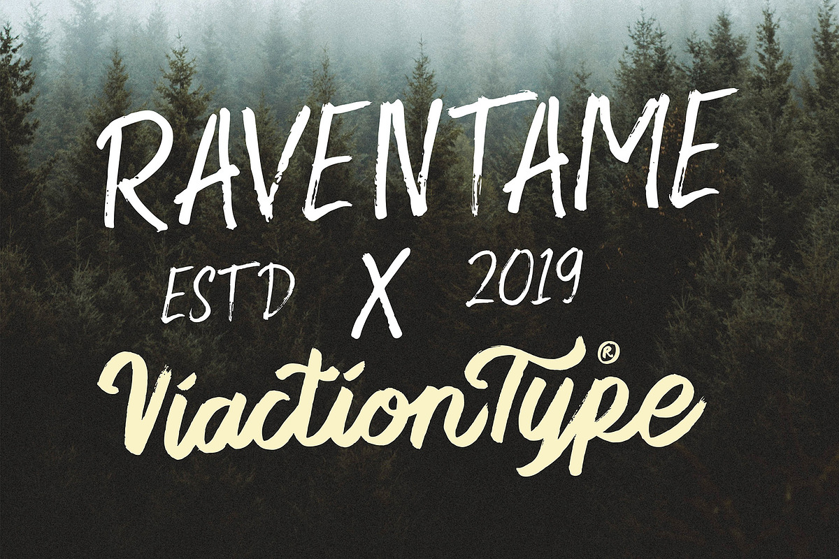 Raventame, a Sans Serif Font by ViactionType (Photo 10 of 10)