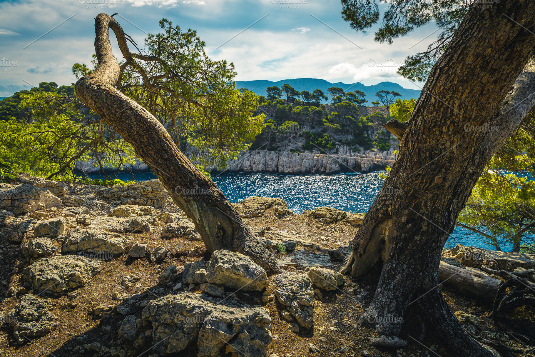 Magnificent Calanque de Port Pin bay, a Nature Photo by Alpine Dreams