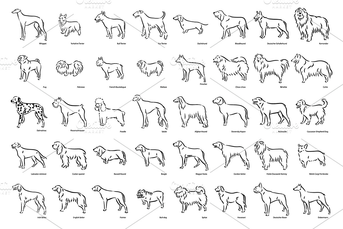 Dog breeds silhouette illustrations, an Animal Illustration by Artha Design Studio (Photo 1 of 2)