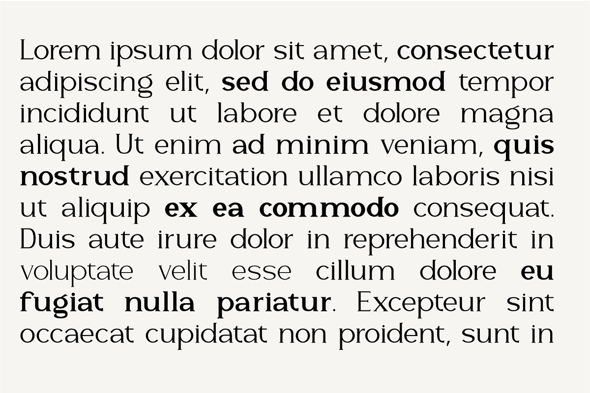Lutoria Serif, a Serif Font by Muksal Creative (Photo 7 of 10)