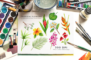 Watercolour Tropical Flowers Pack