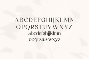 Hergika Modern Elegan Serif Font