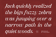 New Valley - Pixelate Italic Serif, a Serif Font by Typia Nesia (Thumbnail 4 of 15)
