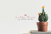 Bill Hiffith | An Organic Script, a Script Font by Colllab Studio (Thumbnail 18 of 18)