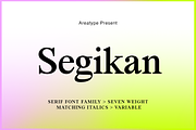 Segikan | SALE 60% OFF, a Serif Font by Areatype (Thumbnail 1 of 16)