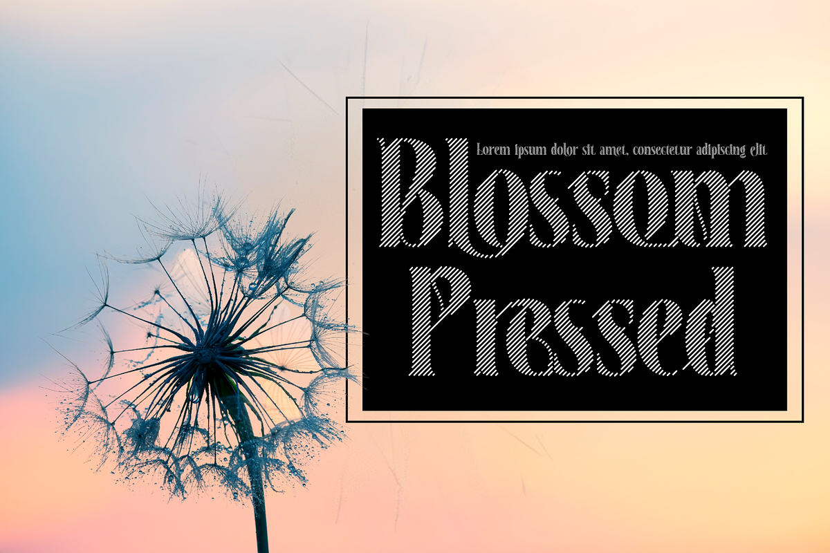 Sparked Extra - Ligature Serif Font, a Serif Font by 177Studio (Photo 3 of 8)