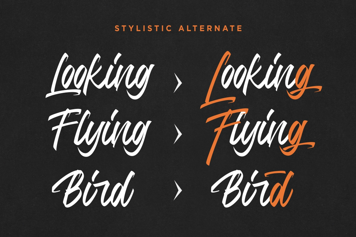 Jumps Steady Business Font preview 7