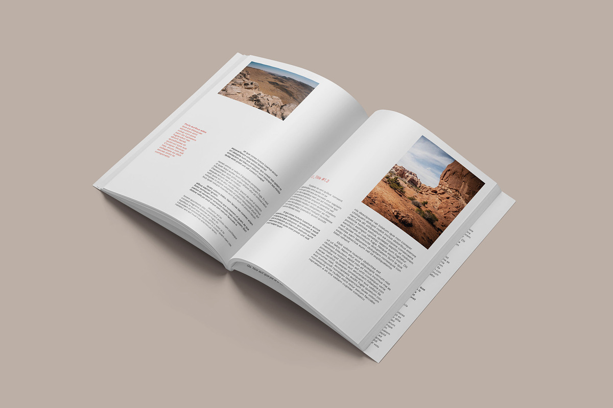 Put Your Book Title Here preview 2