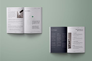Business Project Proposal - Spaech, a Brochure Template by fakhroo (Thumbnail 5 of 10)