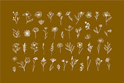 Elegant Botanicals | 100% Hand drawn, a Decorative Illustration by Olia (Thumbnail 6 of 14)