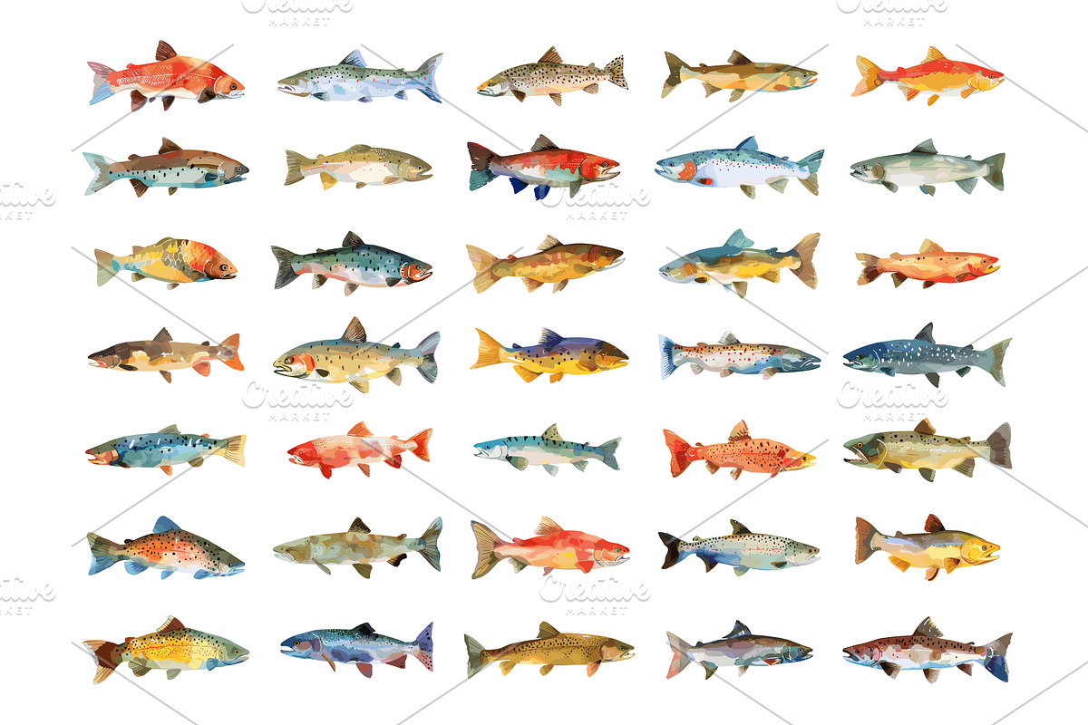 River Fishes Watercolour Icons Set, an Animal Illustration by LadadikArt