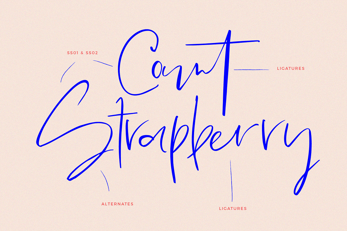 Minted Mood / Font Duo, a Script Font by Fortunes Co (Photo 11 of 15)