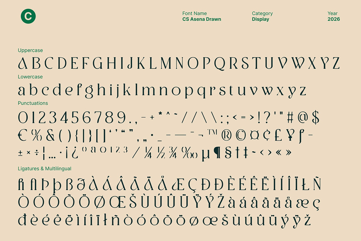 CS Asena Drawn, a Serif Font by Craft Supply Co. (Photo 8 of 8)