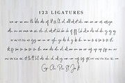 Charllesh Classy Signature Script, a Script Font by Say Studio (Thumbnail 13 of 14)