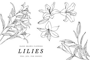 Lilies And Lotus Florals