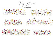 Tiny Flowers Pressed Floral Clipart, an Illustration by whiteheartdesign (Thumbnail 6 of 17)