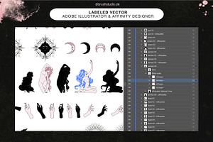 Aurelia - ClipArt & Vector Pack