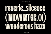 TAN - RAVENS, a Serif Font by TanType (Thumbnail 6 of 11)
