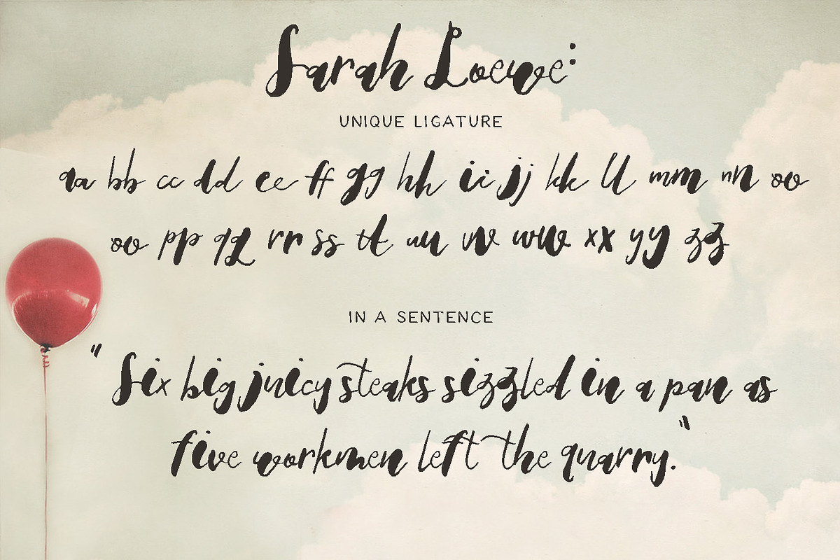 Sarah Loewe Script preview 8
