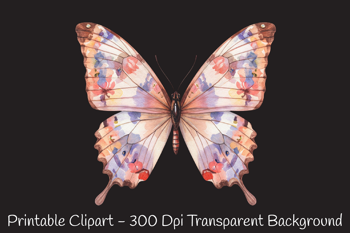 Spring Butterfly Border Clipart, an Illustration by RobertsArt (Photo 2 of 4)