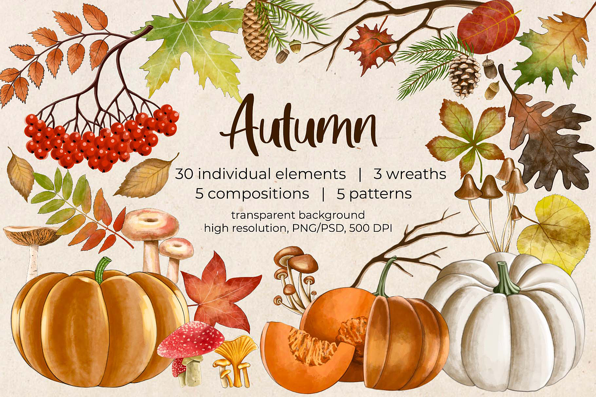 Autumn Watercolor clipart, a Seasonal Illustration by OZartRoom (Photo 1 of 11)