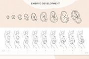 Pregnant & Maternity Woman, a Person Illustration by ms Julia Nova (Thumbnail 5 of 9)