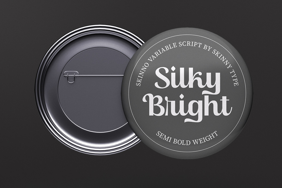 Skinno — A Variable Script Typeface, a Script Font by Skinny Type (Photo 5 of 10)