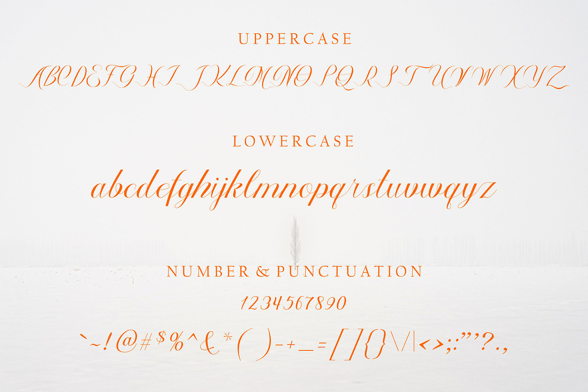 Autumn, a Script Font by Funtype (Photo 7 of 9)