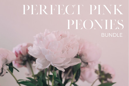 Perfect Pink Peonies - Bundle