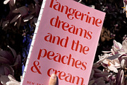 Tangerine - Retro Font, a Sans Serif Font by Tropical Type (Thumbnail 3 of 11)